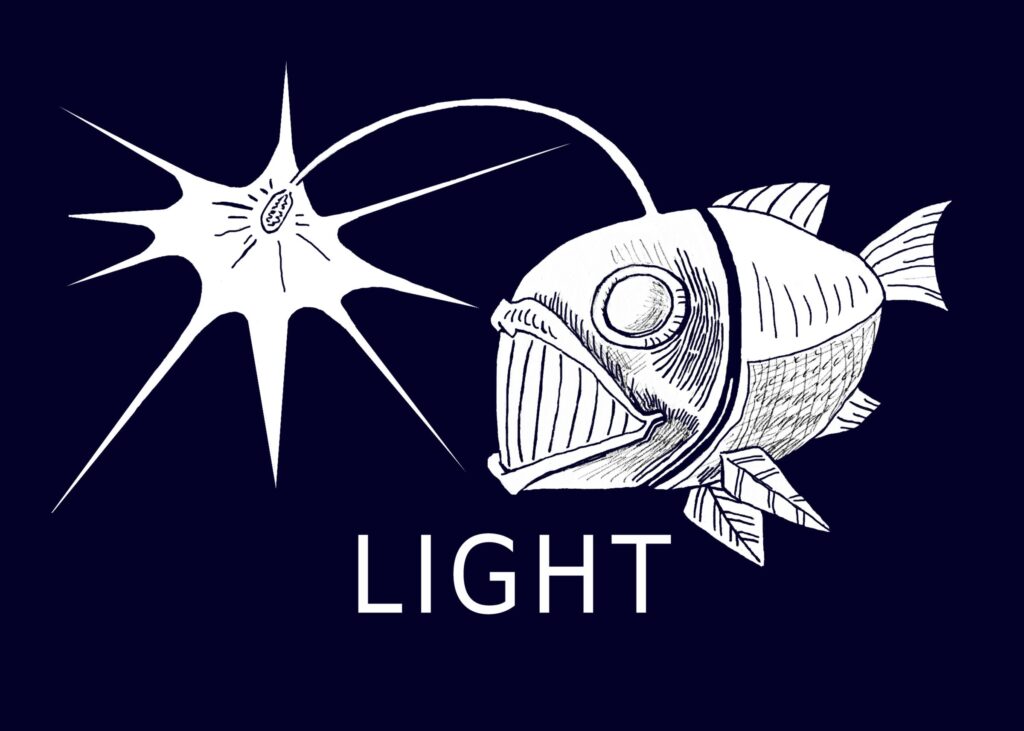 Fisch Light