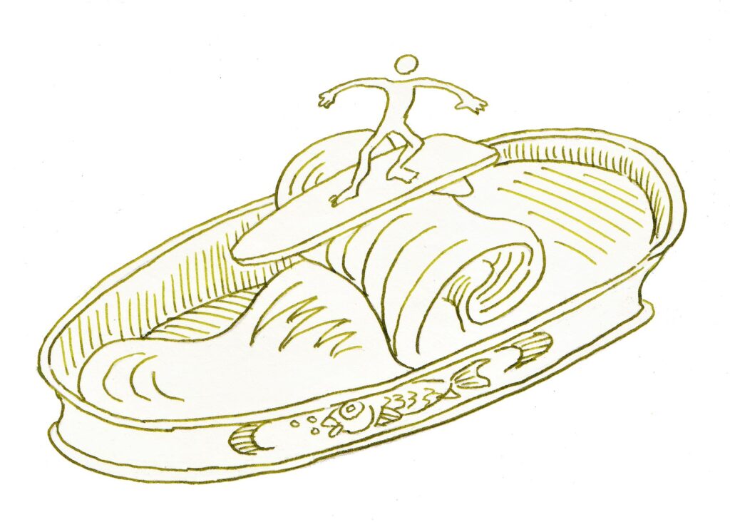 Dosenfisch 03