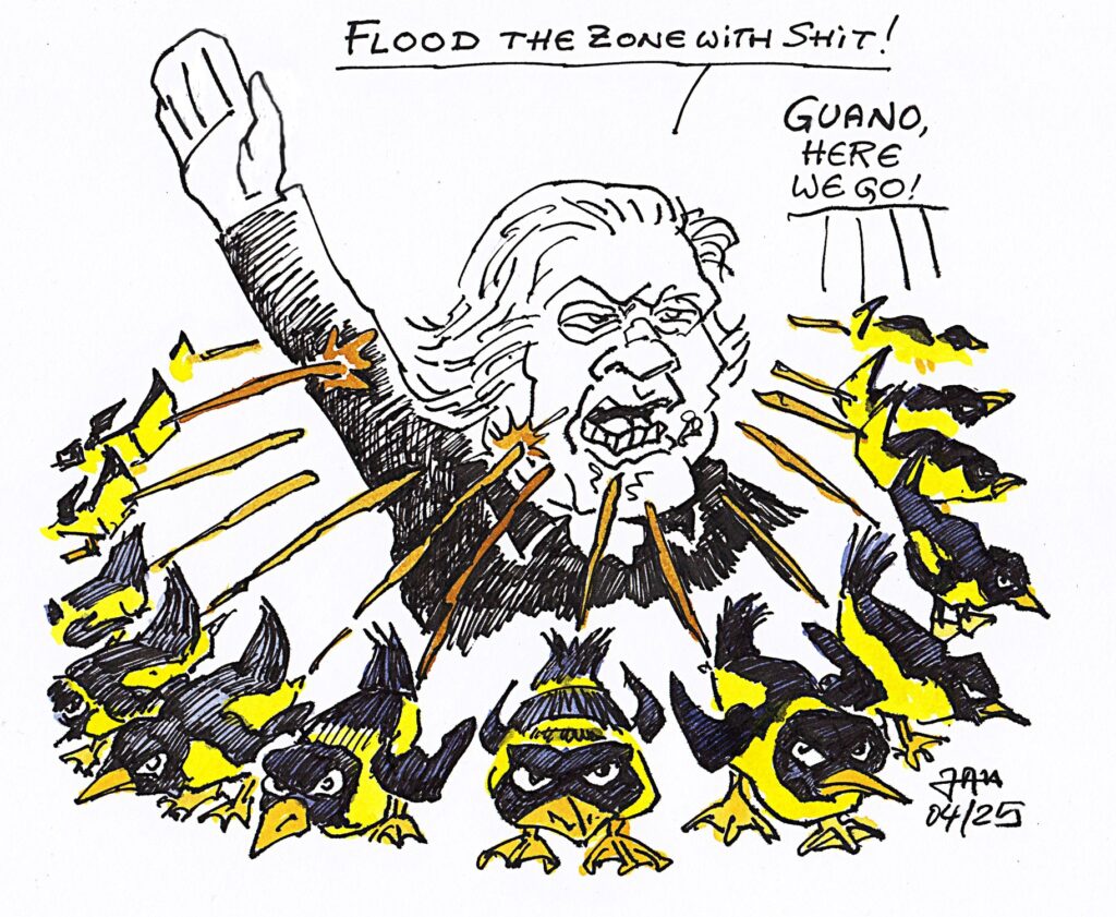 Cartoon
